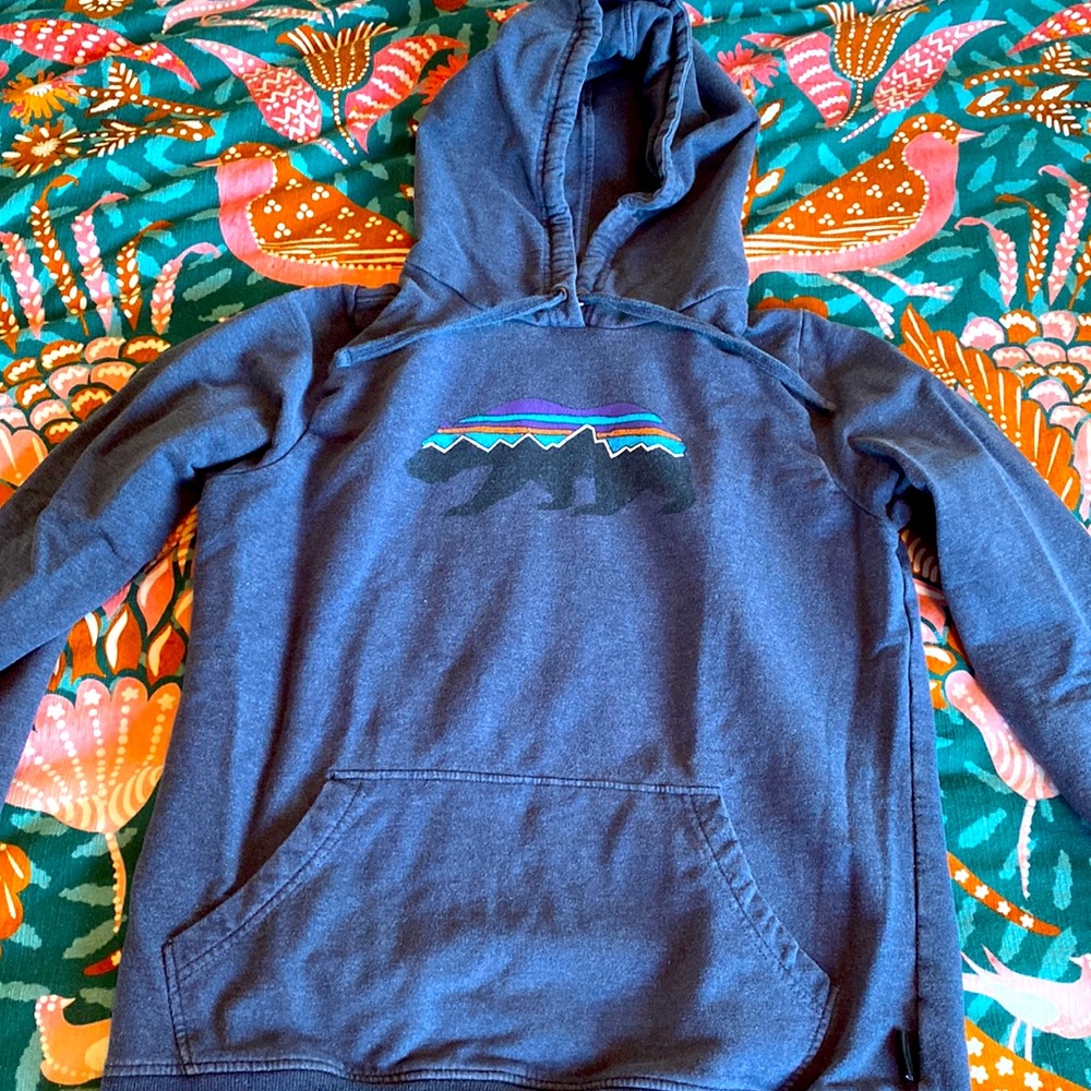 Patagonia Sweatshirt